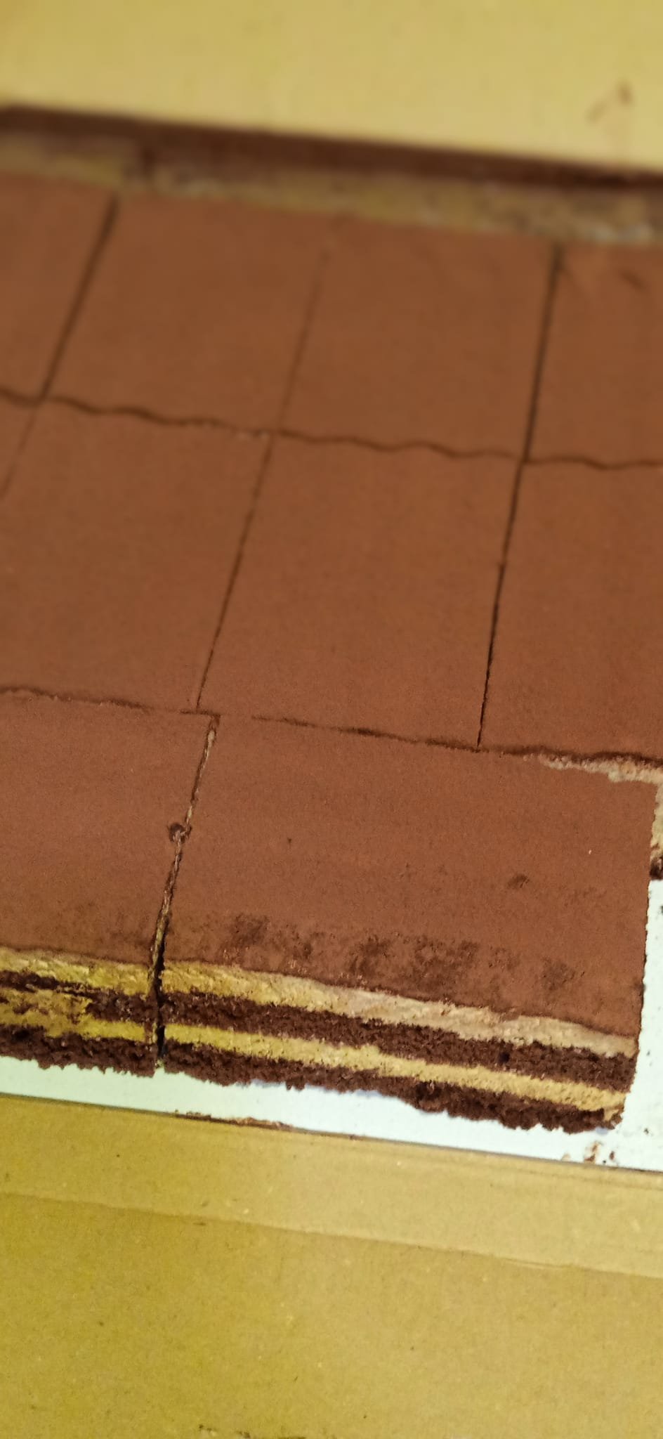 Tiramisu (kakao kaplı katmanlı)